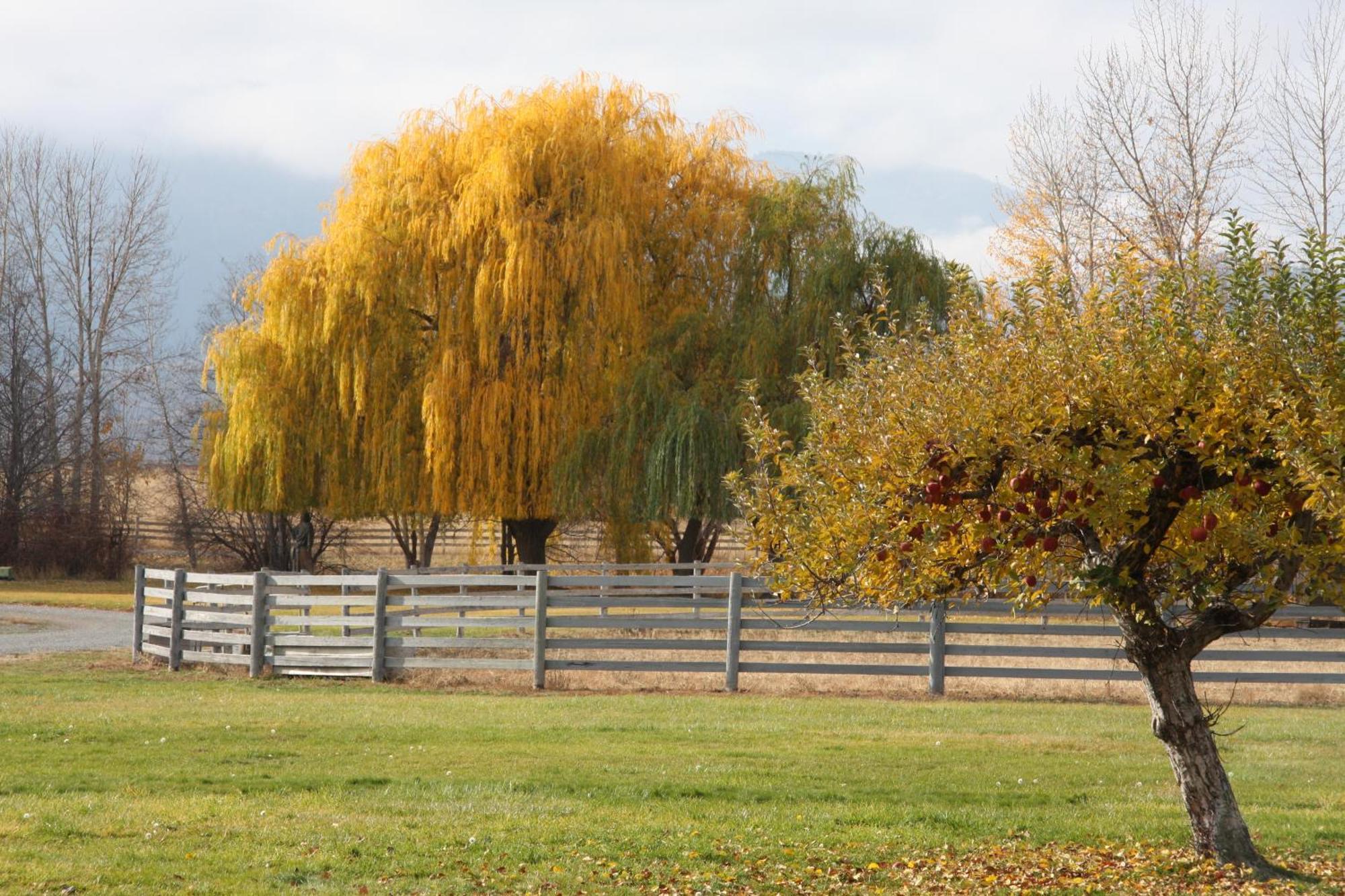 Casia Lodge And Ranch Twisp 外观 照片